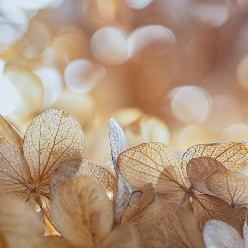 Live like the beauty that exists at the origin of every being.